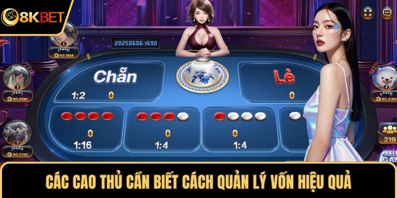 Các cao thủ cần biết cách quản lý vốn hiệu quả