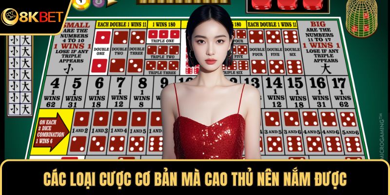 Các loại cược cơ bản mà cao thủ nên nắm được