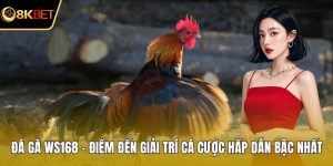 Đá gà WS168