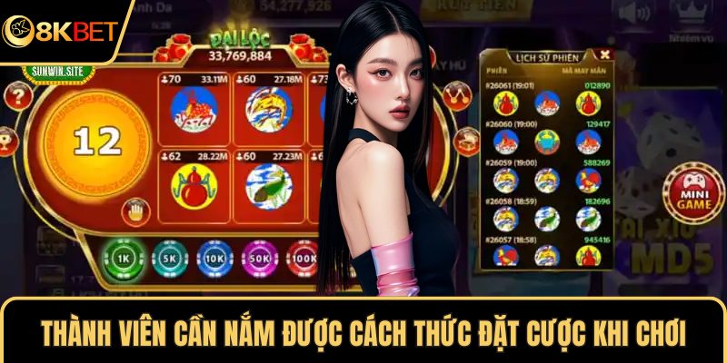 Thành viên cần nắm được cách thức đặt cược khi chơi