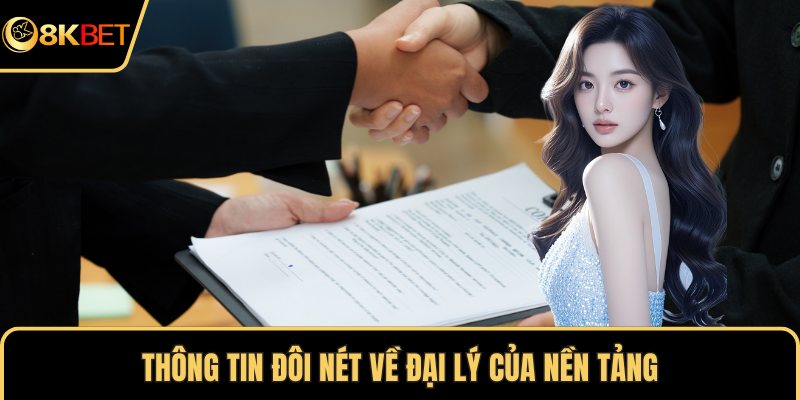 Thông tin đôi nét về đại lý của nền tảng