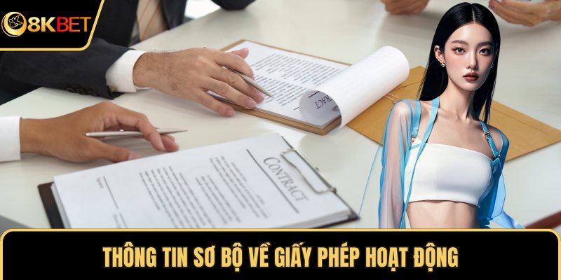 Thông tin sơ bộ về giấy phép hoạt động