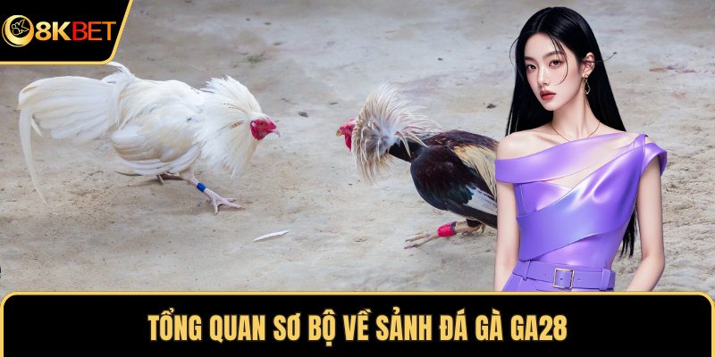 Tổng quan sơ bộ về sảnh đá gà GA28